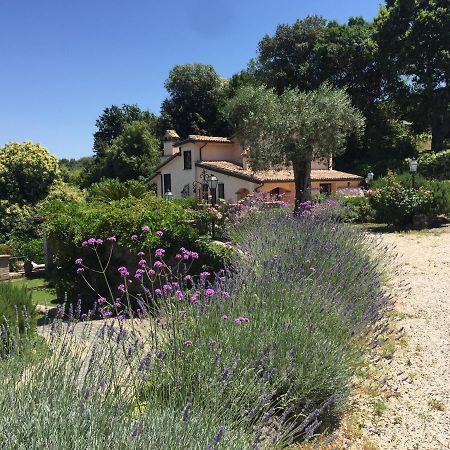 Olivella Villa Campagnano Di Roma Buitenkant foto