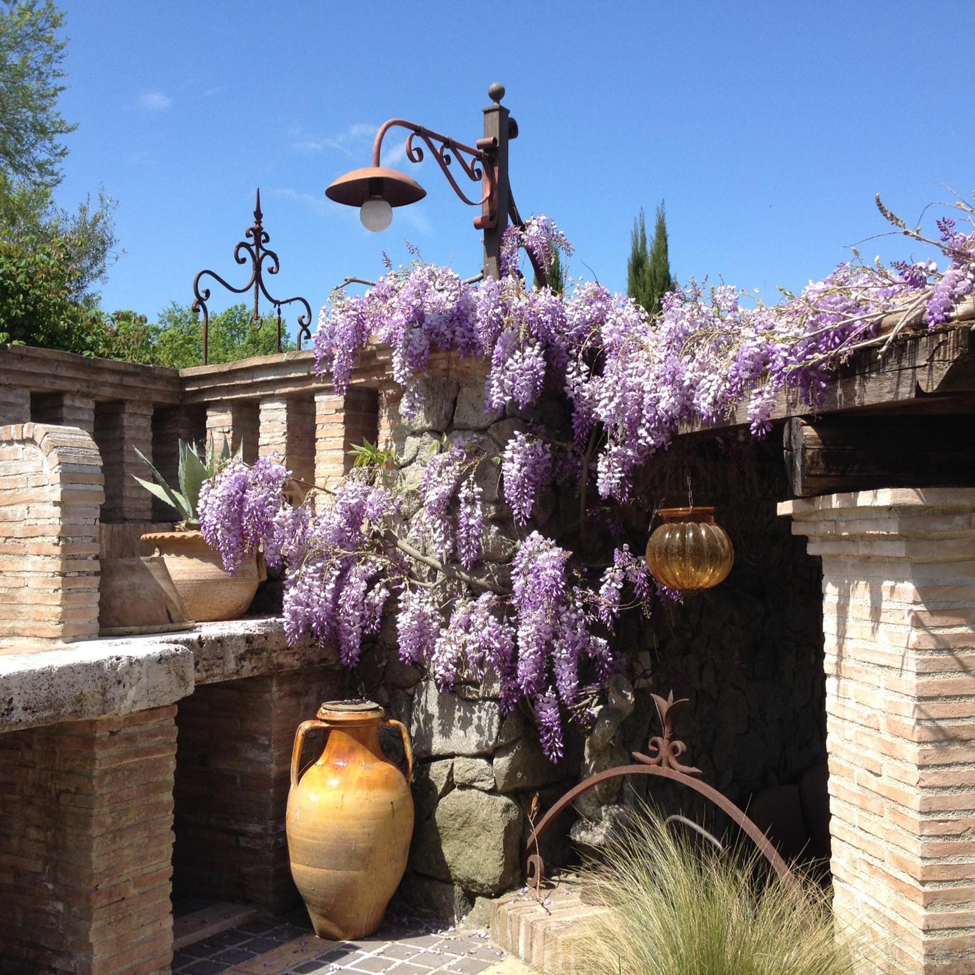 Olivella Villa Campagnano Di Roma Buitenkant foto