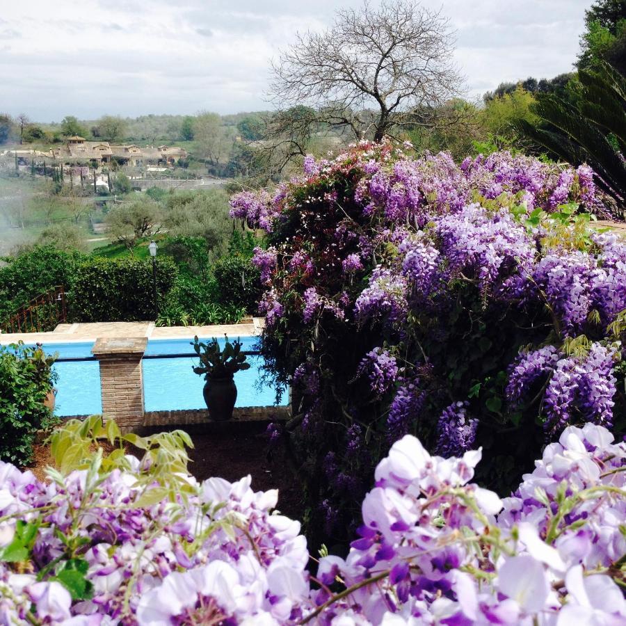 Olivella Villa Campagnano Di Roma Buitenkant foto