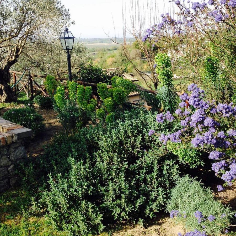 Olivella Villa Campagnano Di Roma Buitenkant foto