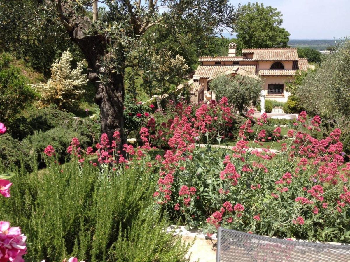 Olivella Villa Campagnano Di Roma Buitenkant foto