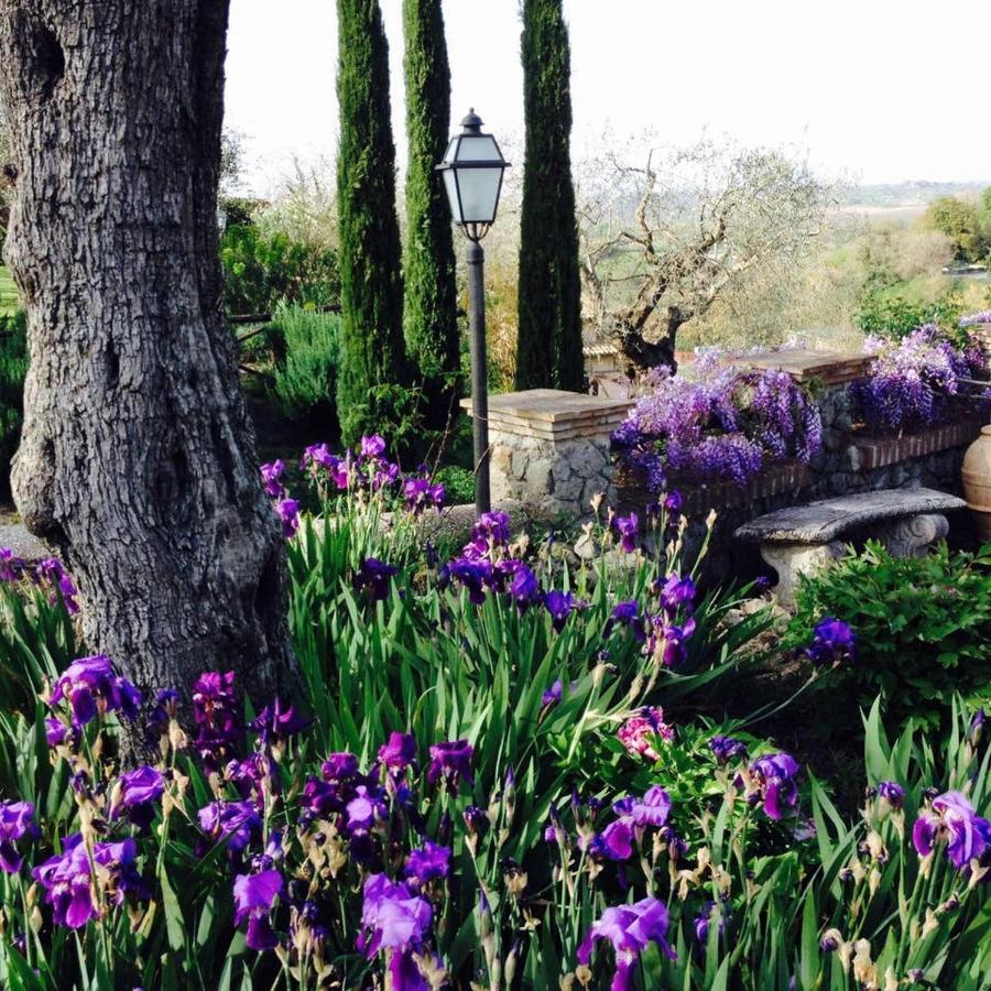 Olivella Villa Campagnano Di Roma Buitenkant foto