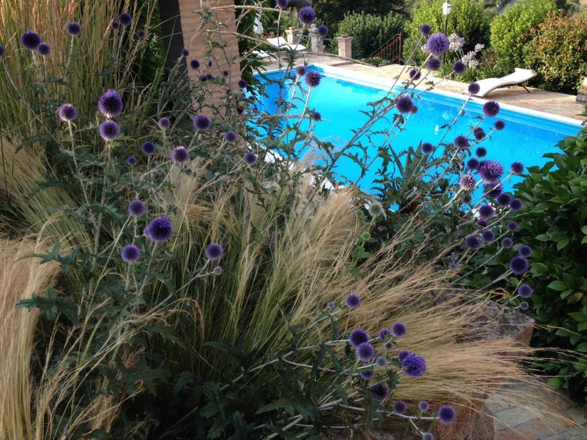 Olivella Villa Campagnano Di Roma Buitenkant foto
